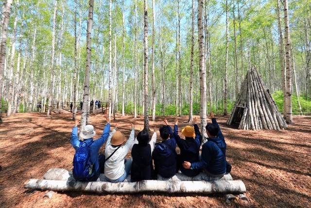 ▲ 인제군 인제읍 원대리 자작나무숲에 6일 탐방객들의 발걸음이 이어지고 있다. 인제군 제공