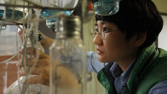 Artist Boo Ji-hyun [BOO JI-HYUN]