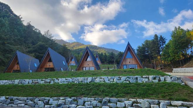 산림레포츠파크 숲속의 집