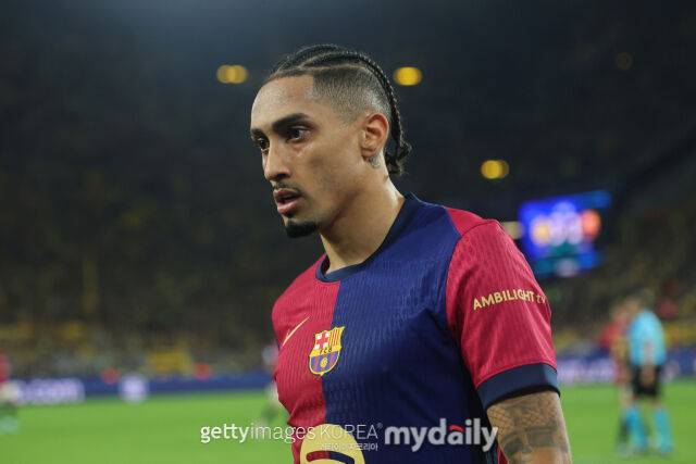 하피냐./게티이미지코리아