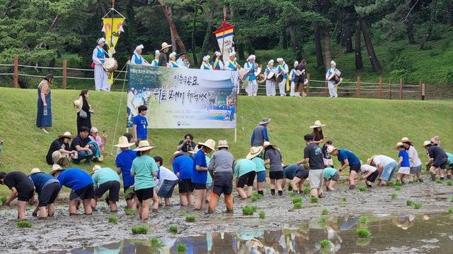 2024년 이순신 장군 묘소 위토 모내기 행사 사진. 국가유산청