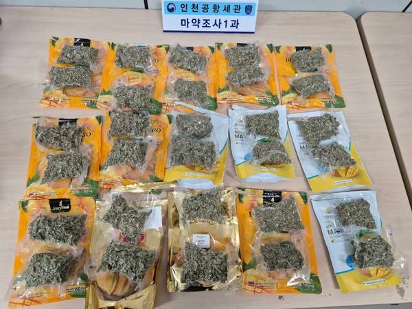 건망고로 은닉한 대마초 [사진 =인천공항세관]