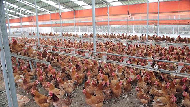 [전주MBC자료사진]