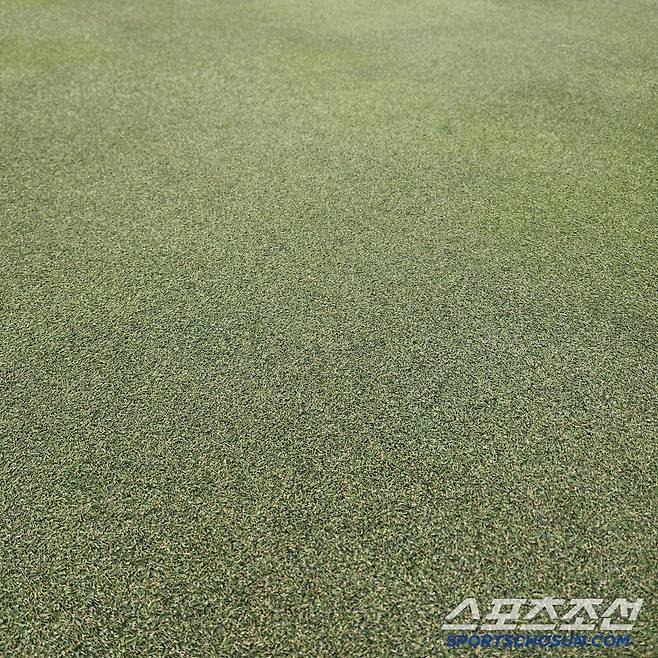 흠집 하나 없는 그린 사진=김용 기자