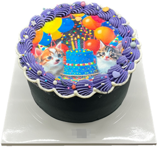 포토프린트 케이크. 한국소비자원 제공