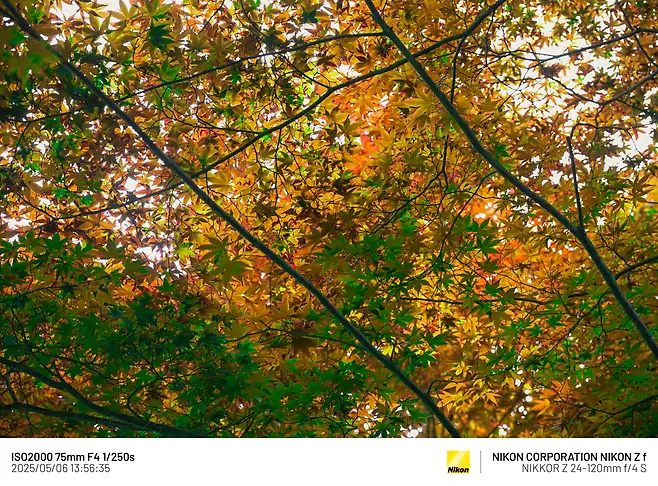 7cea8470b0816af03ce984ed4e9c70736388301776d74130d545f8876e9531953e