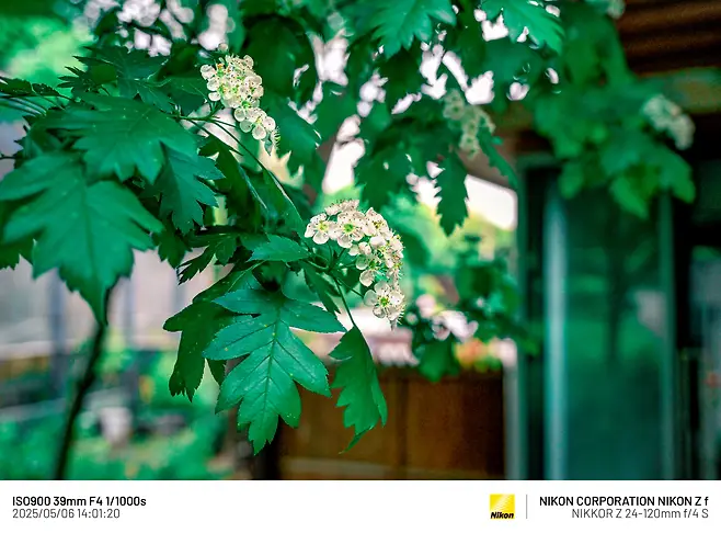 7cea8470b0816af03ce984ed4e9c7573ff1be20cdb03babd9b44ae0bfdde65011c