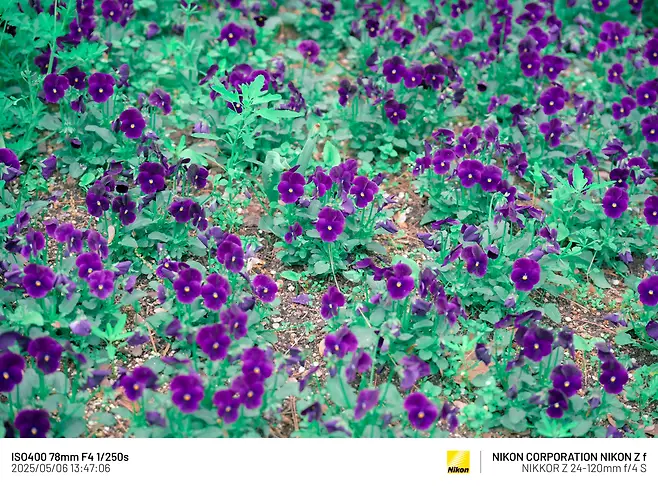 7cea8470b0816af03ce984ed4e9c756d52ae01db0e8fe4d8f85d1f0938bed6efde41