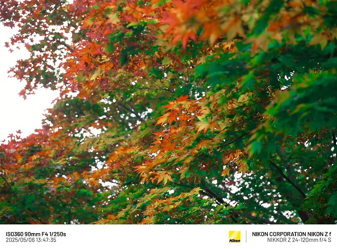 7cea8470b0816af03ce984ed4e9c7d738bbd1ee368b5f34ea2ec11b77ade149c69