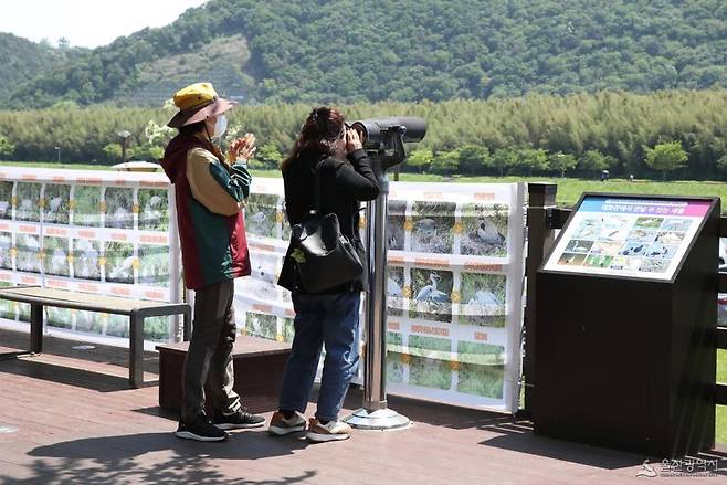 울산 태화강 백로 생태 관찰장. 울산시 제공