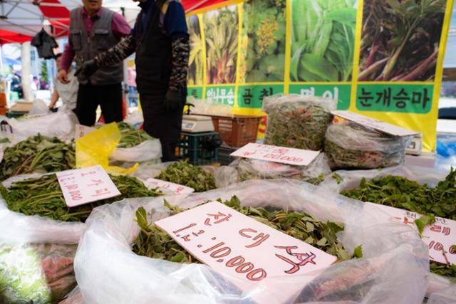 용문천년시장엔 산나물을 파는 점포가 많다.