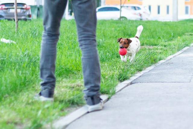 게티이미지뱅크