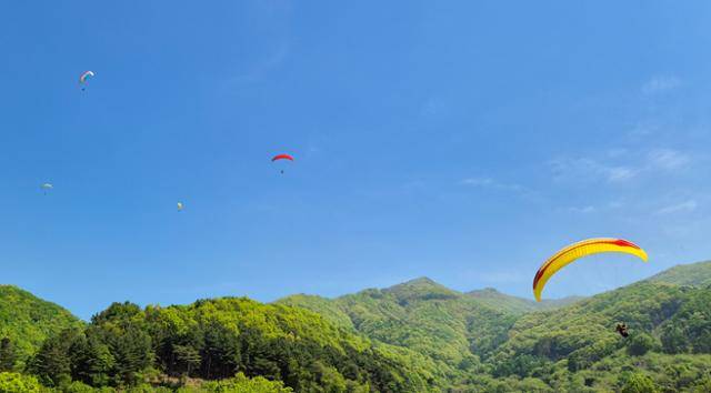 여러 대의 패러글라이더가 경기 양평군 용문산 착륙장을 향해 활공하고 있다.