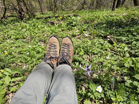 우정능선 곳곳에 광대한 야생화밭이 펼쳐진다. 차마 꽃을 밟을 수 없어 주저앉았다. 꽃들과 밀회를 즐긴다.