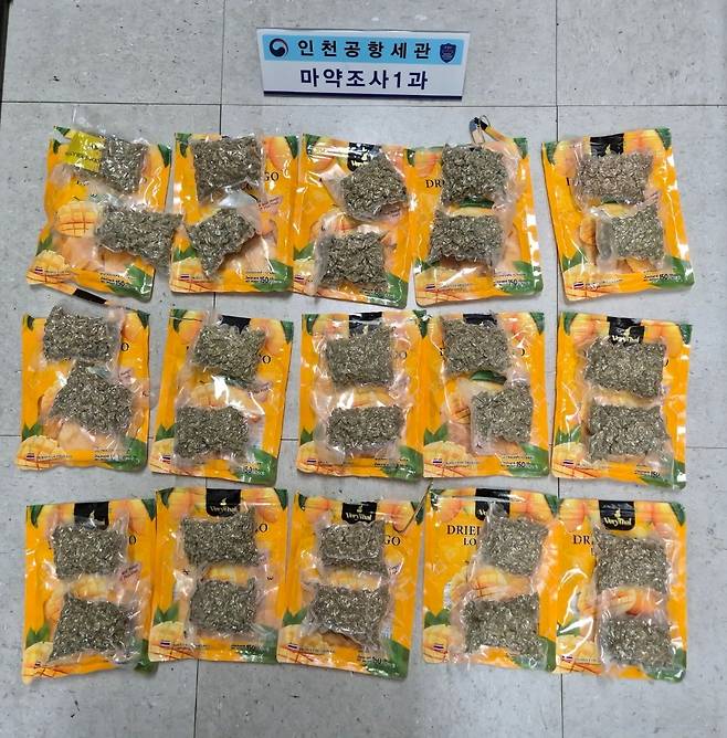 태국인들이 건망고 속에 넣어 밀수한 대마초. 인천공항세관 제공