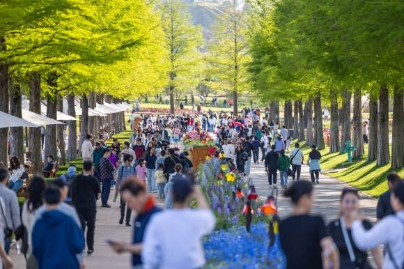 어린이날 연휴 기간 33만명의 관광객이 찾아 온 순천만국가정원 모습