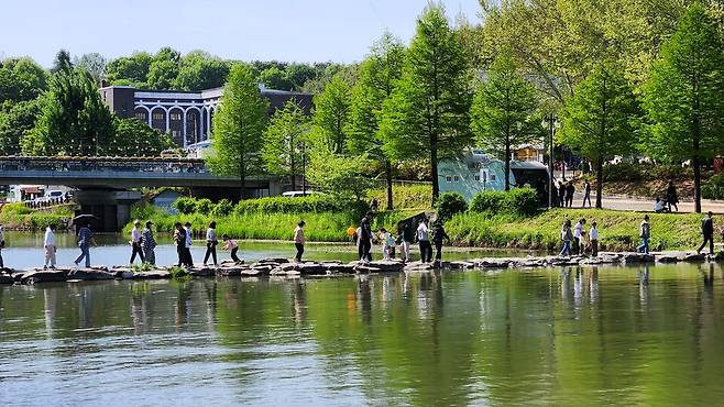 ​영산강 상류에 있는 전남 담양은 전통의 대나무 고장이다. 담양이 초록 댓잎 물결과 은은한 죽향, 청량한 댓잎 소리에 온통 초록으로 물들었다. 머무는 것만으로 절로 힐링이 되는 곳. 담양에선 매해 봄이면 '담양대나무축제'가 펼쳐진다. 올해 축제도 관광객들로 인산인해(人山人海)를 이뤘다. 4일 오후 관광객들이 담양천변을 건너고 있다. ⓒ시사저널 정성환​