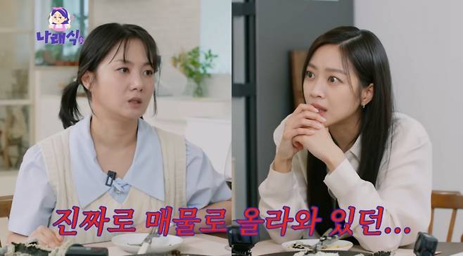 사진｜유튜브 채널 ‘나래식’ 영상 캡처