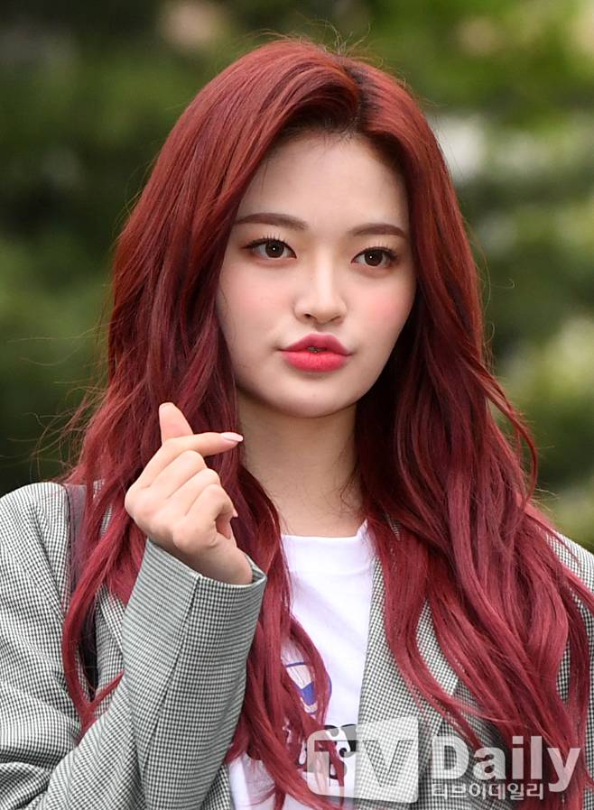 티브이데일리 포토