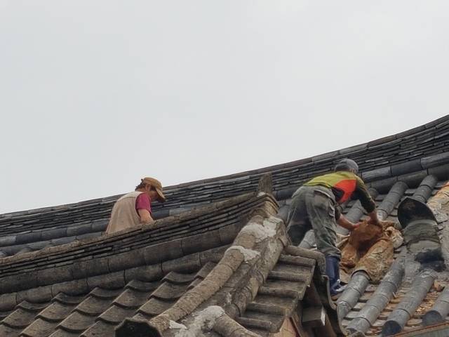 2016년 경주 지진 피해 지붕 복구작업 현장. 경주시 제공