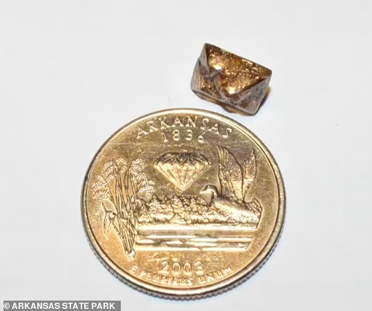 미국 아칸소주 '다이아몬드 분화구 주립공원'을 찾은 남성이 발견한 3.81캐럿의다이아몬드. 다이아몬드 분화구 주립공원 홈페이지