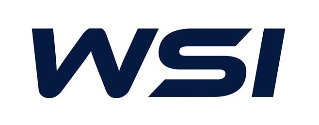 더블유에스아이 CI.