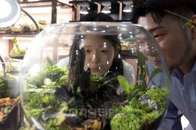 [사진제공=더메종]