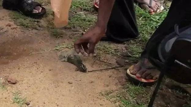 지난 2014년 스리랑카의 한 마을에서 기상 현상에 의해 육지로 떨어진 물고기를 마을 주민이 줍고 있다. 사진=BBC 캡처