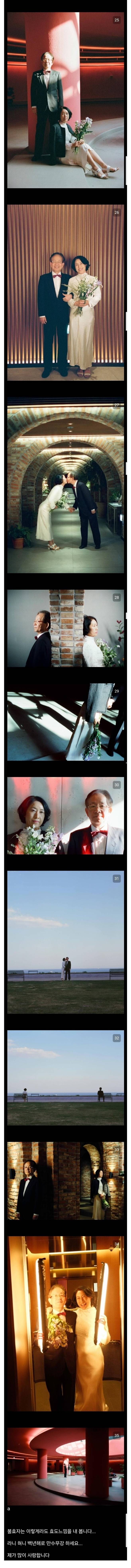 부모님 리마인드 웨딩 사진 찍어드린 불효자