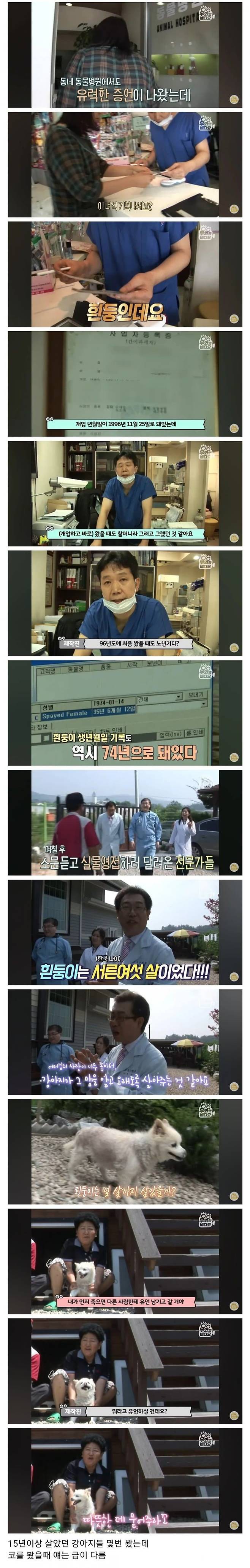 36년 장수한 강아지