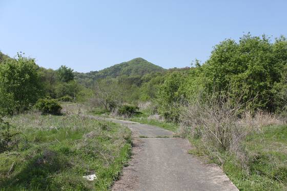 세종시 대통령 제2집무실 예상 부지의 현재 모습. 예전 농로의 흔적이 그대로 남아 있다. 주정완 기자