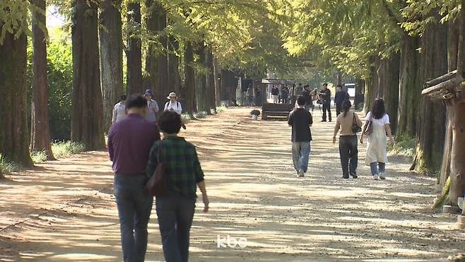 ▲ 전남 담양 메타세쿼이아가로수길