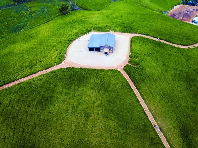 충남 보령 ‘천북 폐목장 청보리밭’.