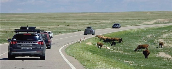 몽골고원의 목가적 풍경