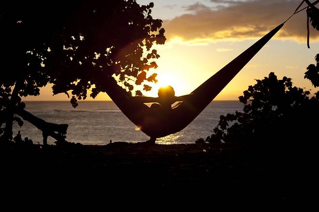 게티이미지뱅크