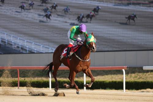 오아시스블루, 2025년4월6일 KRA컵 f마일 우승장면