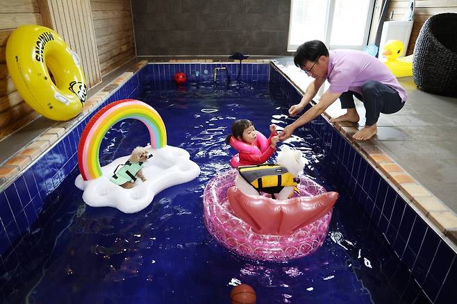 "반려동물 동반여행은 태안으로…숙박료 최대 5만원 할인" [태안군 제공. 재판매 및 DB 금지]