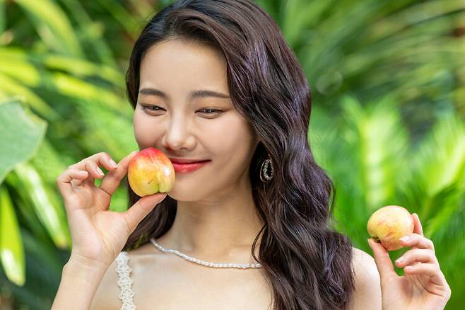 섬유질이 풍부한 복숭아는 포만감을 오래 유지시켜 다이어트를 할 때 도움이 되는 과일 중 하나다. [사진=클립아트코리아]