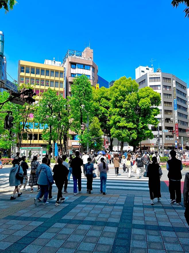 KakaoTalk_20250508_150946415_08.jpg 골든위크에서 살아남기 -3