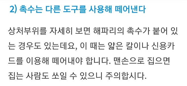 image.png 해파리독 응급 처치