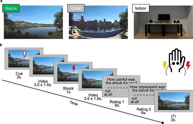 연구진이 실험을 위해 제작한 자연과 도시, 실내 사무실 영상 장면. 네이처 커뮤니케이션스