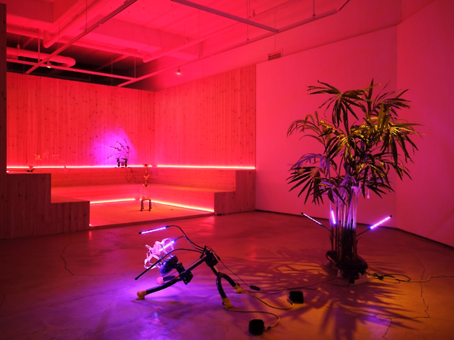 레이첼 윤의 아시아 첫 개인전 ‘NO SWEAT’이 열리고 있는 서울 청담동 지갤러리 전시장리