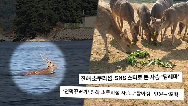 SBS ‘궁금한 이야기 Y’