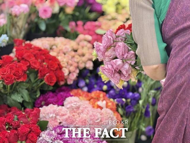 어버이날을 맞은 8일 서울 서초구 양재꽃시장에서 한 상인이 진열된 생화를 고르고 있다./정인지 기자