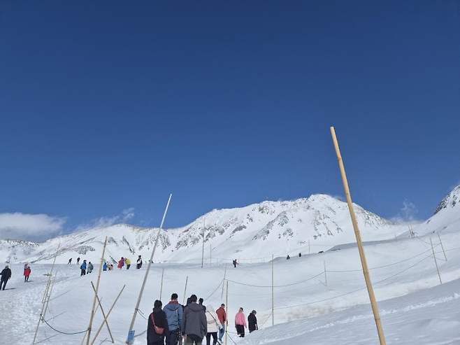 viewimage.php?id=23b2db27ebc637&no=24b0d769e1d32ca73de882fa1bd62531b6b898211a669f8109c0200b5f38ebe589f1c56acd3e6285cdeb3d355e8262790ca72aecc9a0ca1c783e9e300b5fa4d1b03f01