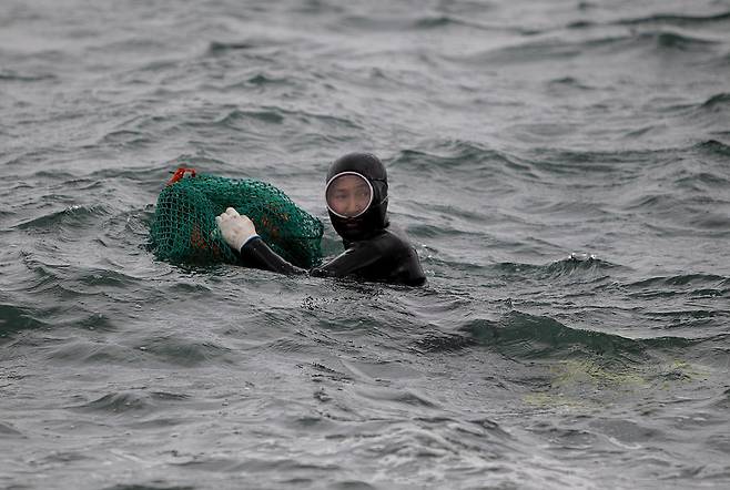 사진=게티이미지코리아.