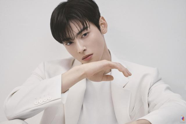 가수 겸 배우 차은우가 육군 군악대 면접을 봤다는 사실이 뒤늦게 알려졌다. 판타지오 제공