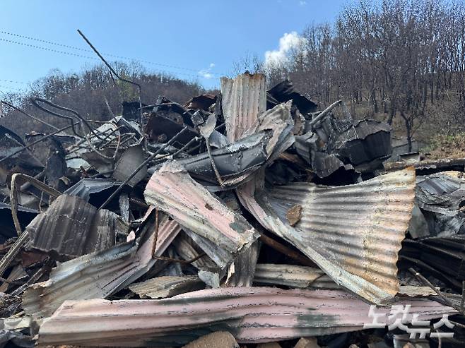 의성에서 시작된 산불로 인해 안동의 한 마을이 폐허가 됐다. 이우섭 기자