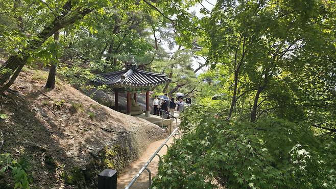 경주 방향대좌 석조여래좌상을 만날 수 있는 트래킹 코스. 관저로 이어지는 길이다.
