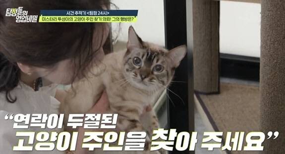 사진 제공='탐정들의 영업비밀'